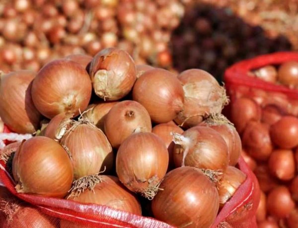 Kerala Plans Onion Market Intervention at Rs 35/kg Amid Price Surge