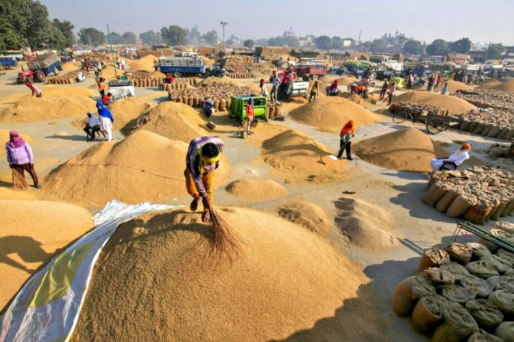 Record wheat and rice production boosts food grain output by 26.11 lakh ...