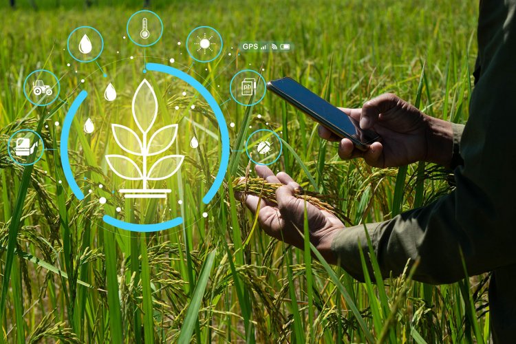 What is the Digital Agriculture Mission, and How Will it Work?