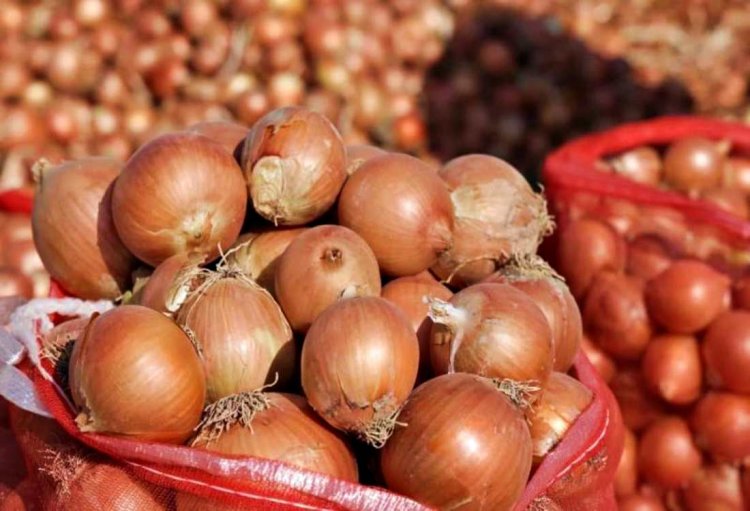 Onion Prices Surge by 20 Percent After Government Eases Export Restrictions