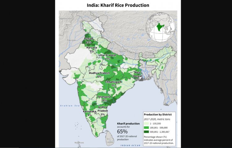 USDA estimates record rice production in India, while cotton area dropped