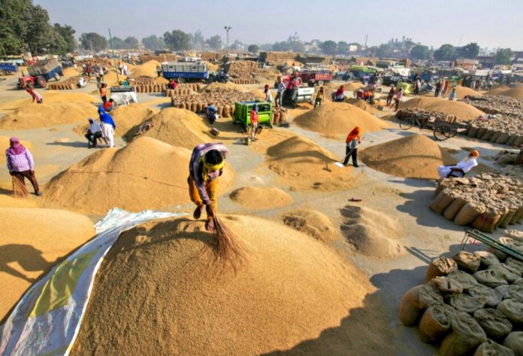 Record wheat and rice production boosts food grain output by 26.11 lakh tonnes for 2023-24