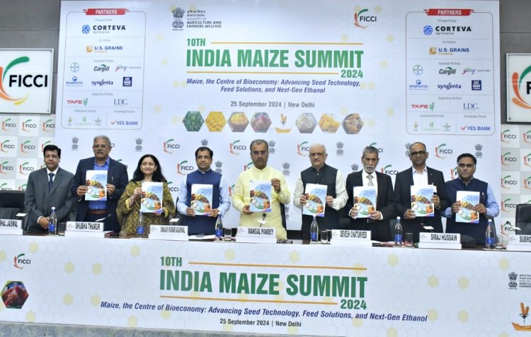 Experts call for advancements in hybrid seeds and technology in India's maize sector