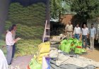 Rajasthan govt in action mode against spurious fertilizers, seized 11000 bags of fertilizer
