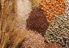 Government Estimates Record 376.56 Million Tonnes Foodgrain Production in 2025-26, Up 5.3% From Last Year