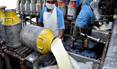 Indore Milk Union Raises Farmer Procurement Rates, Adds 550 New Committees to Expand Dairy Network