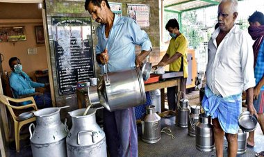 MilkLane launches dairy procurement services to ensure safe, high-quality milk supply