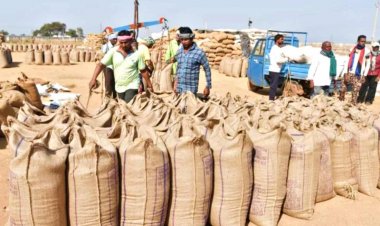 Chhattisgarh government to procure 160 lakh tons of Paddy at 21 quintals per acre rate