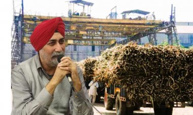 Uttar Pradesh sugar mills owe over 2,889 crore as interest for delayed payments to farmers