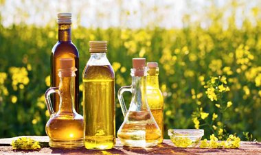 Rising South American Supplies, Weak Demand Drag Global Oilseed Prices Into Early 2026