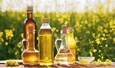 Centre approves Rs 10,103 crore National Edible Oil Mission to raise domestic production by 2030