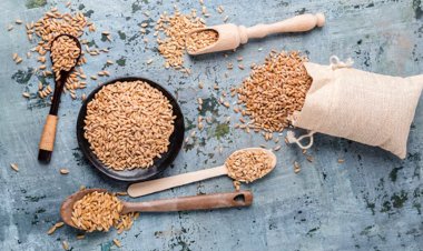 Russian wheat price at three months high amid drought and supply cuts