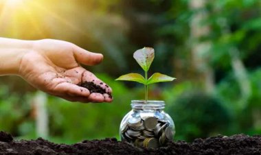 IFC partners with Axis Bank to provide $500 million climate loan in India