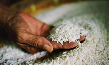 Cabinet approves continuation of supply of free fortified rice up to December 2028