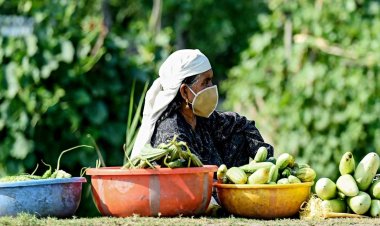 India ranks 105th in Global Hunger Index, trails behind Nepal and Bangladesh