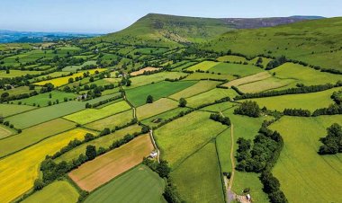 Maharashtra agricultural households have highest land holding, Meghalaya leads in leased land farming