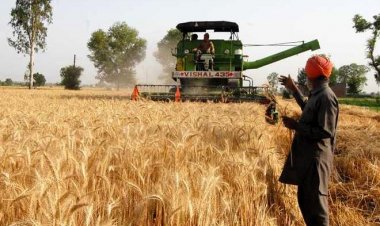 Cabinet approves MSP for Rabi crops, Rs 150 hike in wheat MSP