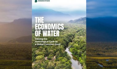 Water crisis puts more than half of the world’s food production at risk by 2050: Report