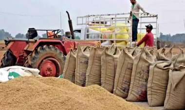 Chhattisgarh to start paddy procurement from November 14 with a target of 160 lakh tonnes