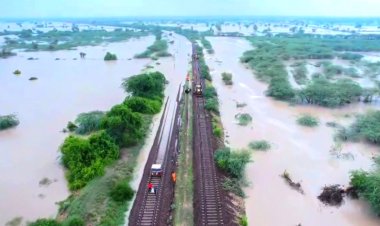 Climate contradiction: Stronger monsoons bring more rain to northwest India