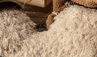 India exempts parboiled rice and brown rice from export duty to boost shipments