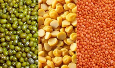 Pulse Prices Dip Slightly, but Edible Oils Remain Costly: Govt Data
