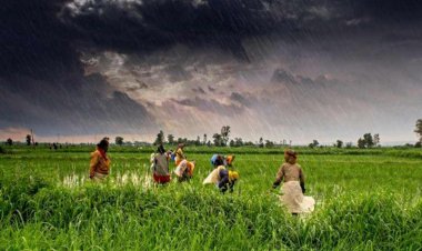 Rural areas to get timely weather updates with govt's new initiative