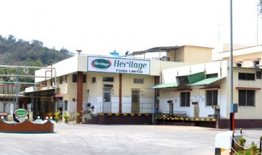 Heritage Foods records 117 percent profit growth in Q2 FY25