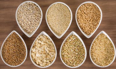 Global Grain Production Set to Hit New Record in 2025-26 Despite Minor Forecast Cut: IGC