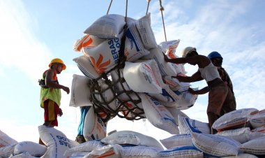 Indonesia plans to import 1 million tons of rice from India as harvest delays