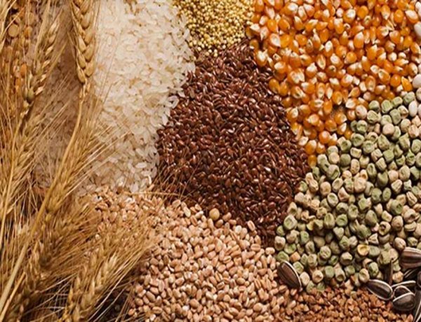 Government Estimates Record 376.56 Million Tonnes Foodgrain Production in 2025-26, Up 5.3% From Last Year
