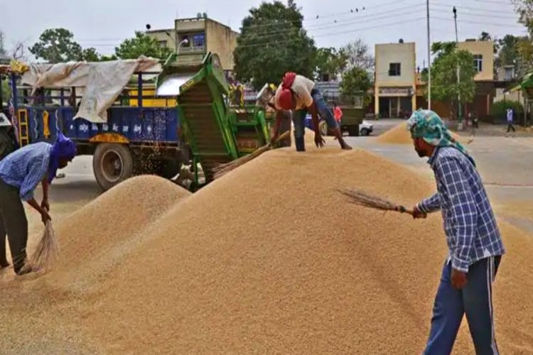 Chhattisgarh government to procure 160 lakh tons of Paddy at 21