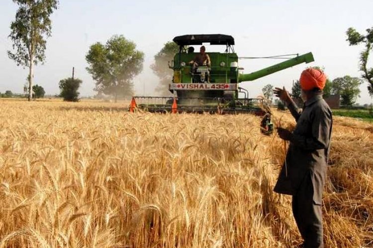 For Rabi Crops Mini Combine Cabinet approves MSP for Rabi crops, Rs 150 hike in wheat MSP - Rural ...