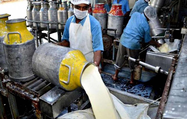 Indore Milk Union Raises Farmer Procurement Rates, Adds 550 New Committees to Expand Dairy Network