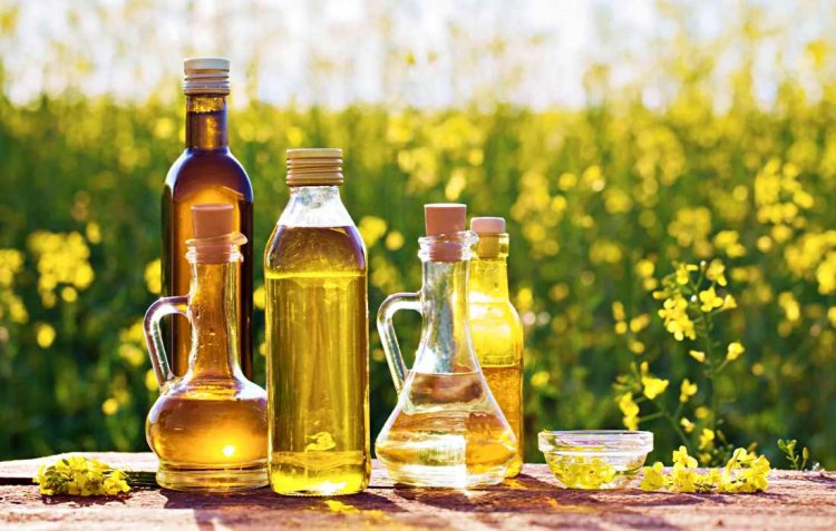 Rising South American Supplies, Weak Demand Drag Global Oilseed Prices Into Early 2026