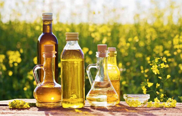 Centre approves Rs 10,103 crore National Edible Oil Mission to raise domestic production by 2030