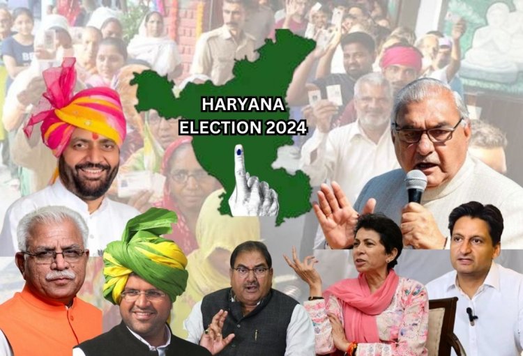 61.3% Voter Turnout in Haryana Election, Down 7% from Last Time; Clashes Between BJP and Congress Workers in Several Areas