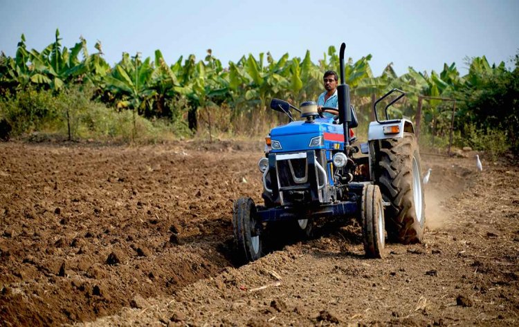 Punjab's agricultural households earn highest, lowest in Bihar, less than Rs 300 per day: NABARD Survey