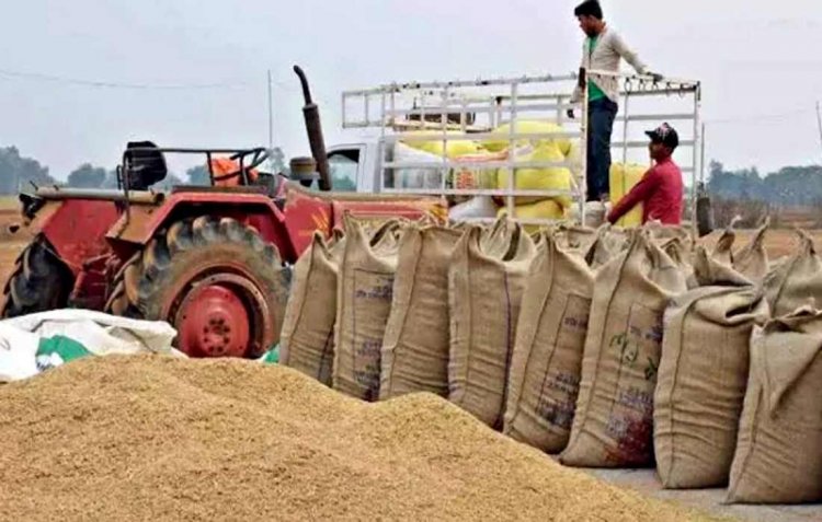 Chhattisgarh to start paddy procurement from November 14 with a target of 160 lakh tonnes