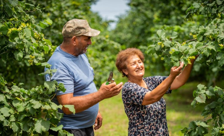 FAO and IFAD launch 'Global Family Farming Forum' to support sustainable agrifood systems