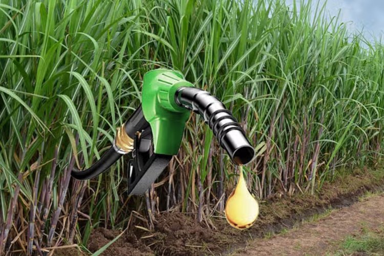 Petroleum Companies to Procure 3.91 Billion Liters of Ethanol from Sugar Industry in 2024-25