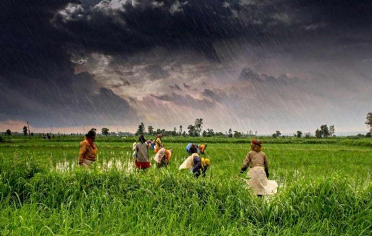 Rural areas to get timely weather updates with govt's new initiative