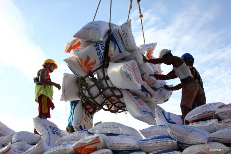 Indonesia plans to import 1 million tons of rice from India as harvest delays