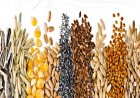Seed Industry Urges Stronger Focus on Agrobiodiversity to Safeguard Food Security