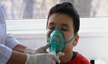 Climate change and environmental issues put one billion children at risk globally: UNICEF