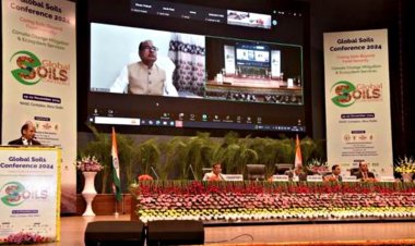 Global soil conference 2024 highlights need to boost soil fertility for food security