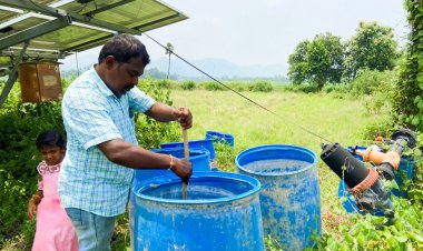 Cabinet approved Rs 2,481 crore National Mission on Natural Farming