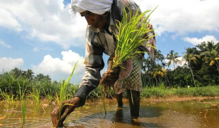 World Bank to support 4 lakh farmers in Kerala