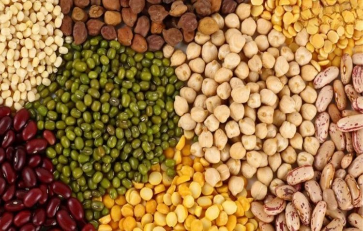 Centre asks north-eastern states to increase production of pulses and horticultural crops