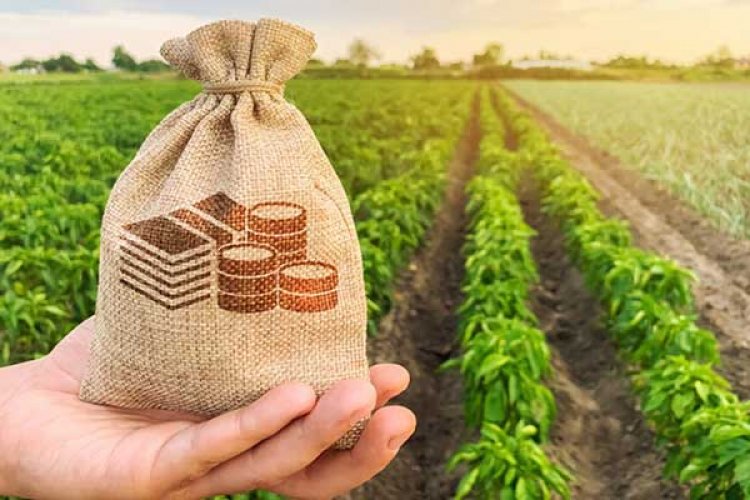 Drafting Committee on Agri-Marketing suggests ‘Price Insurance Scheme’ to insure the farmers' income